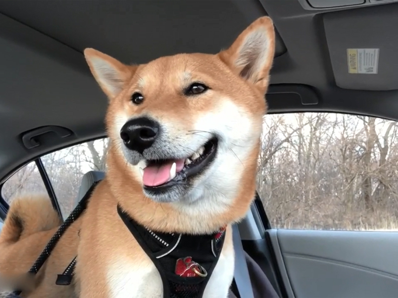 Tips for driving with you